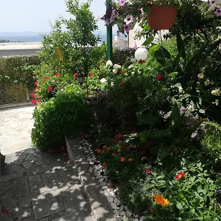 Apartment D&m1 Makarska