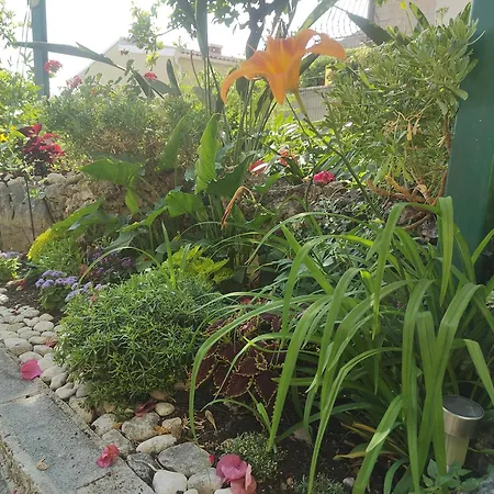 아파트 D&m1 마카르스카